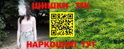 индика Аргун