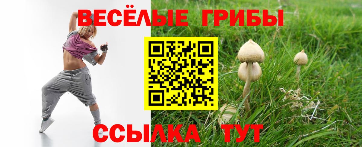 Псилоцибиновые грибы Magic Shrooms Богданович